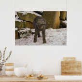 TrompetenElefanten im Schnee Poster (Küche)