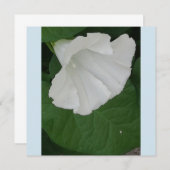 Trompetenförmige weiße Blume Einladung (Vorne/Hinten)