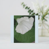 Trompetenförmige weiße Blume Einladung (Stehend Vorderseite)