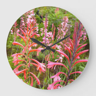 Trompetenlilie (Watsonia) Blume, Ostkap Große Wanduhr