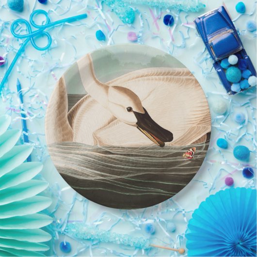 Trompeter Swan und Butterfly Pappteller (Party)