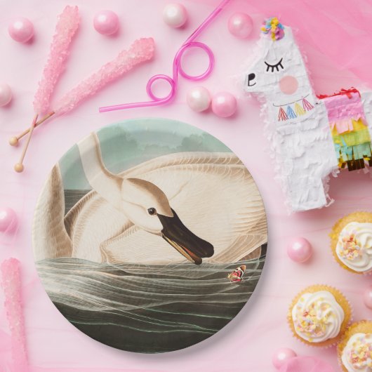 Trompeter Swan und Butterfly Pappteller (Party)