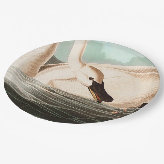 Trompeter Swan und Butterfly Pappteller (Schrägansicht)