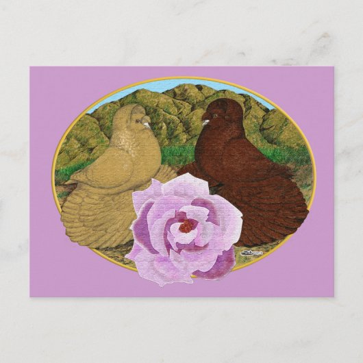 Trompeter Tauben und Rose Postkarte (Vorderseite)