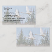 Trompeters-Schwäne im Flug Visitenkarte (Vorne/Hinten)