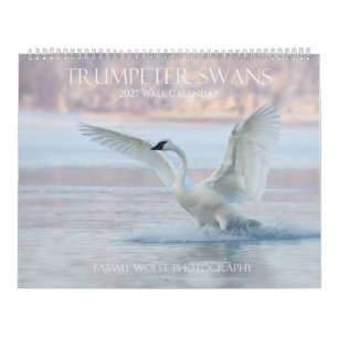 Trompeterschwan Premium-Wandkalender im großen For Kalender
