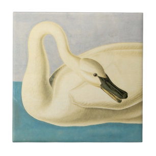 Trompeterschwan von John James Audubon, Vintage Vo Fliese