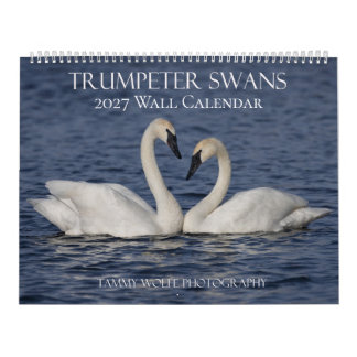 Trompeterschwan-Wandkalender Kalender