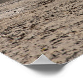 Troon Beach Scotland Postcard Poster (Ecke)