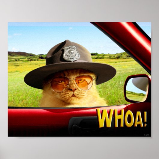 Trooper Cat Poster (Vorne)