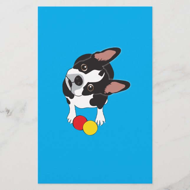 Trooper der Boston Terrier (Vorderseite)