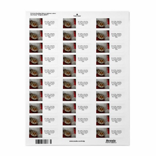 "Trooper The Cat" Sandpaper Kisses adressiert Labe (Vorne)