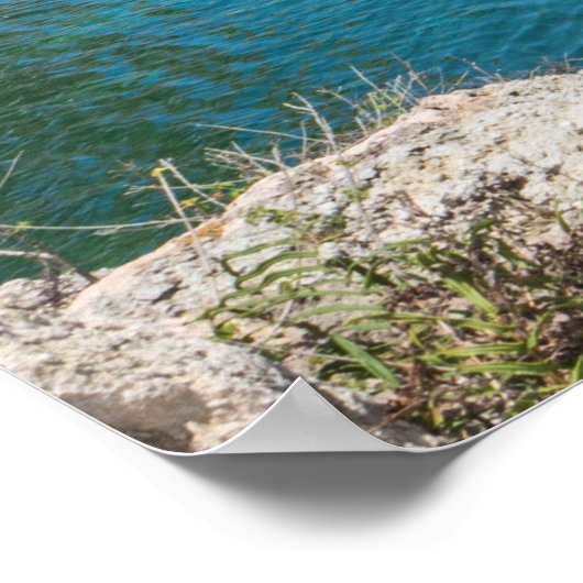 Tropen Poster (Ecke)