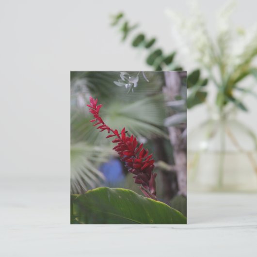 Tropen Postkarte (Stehend Vorderseite)