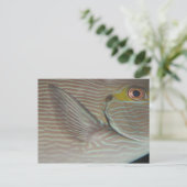 Tropenfische Postkarte (Stehend Vorderseite)