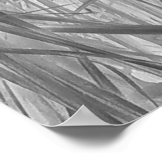 Tropenflüster Poster (Ecke)