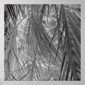 Tropenflüster Poster (Vorne)