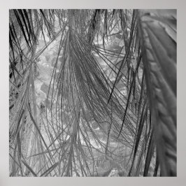 Tropenflüster Poster