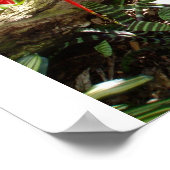 Tropengarten Poster (Ecke)