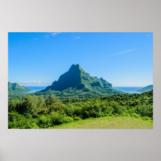 Tropengrün-Moorea-Poster Poster (Vorne)