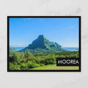 Tropengrüne schwarze Moorea-Rahmen-Postkarte Postkarte