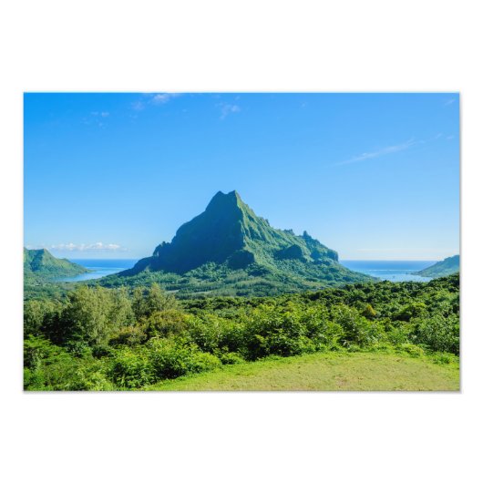 Tropengrünes Moorea-Foto Fotodruck (Vorne)