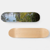 Tropenhain Skateboard (Horizontal)