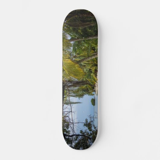 Tropenhain Skateboard (Vorderseite)