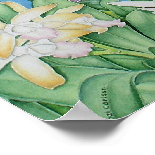 Tropeninsel Poster (Ecke)