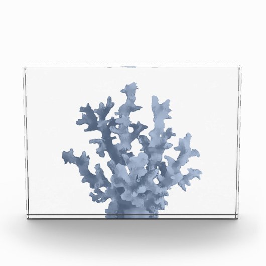 Tropenkoralle Fotoblock (Vorderseite)