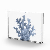 Tropenkoralle Fotoblock (Rechts)