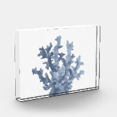 Tropenkoralle Fotoblock (Links)