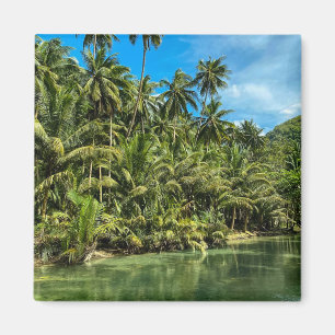 Tropenlandschaft, Philippinen, Kawasan fällt Cas Magnet