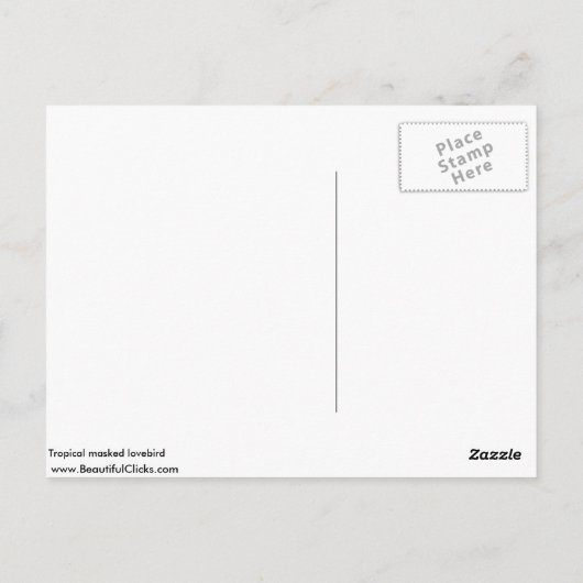 Tropenmaskenvogel Postkarte (Rückseite)