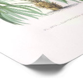 Tropenpalmen, Palmen Poster (Ecke)