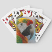 Tropenpapagei Spielkarten (Rückseite)