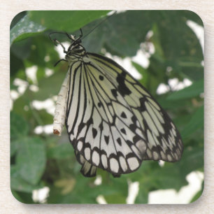 Tropenpapier Kite Butterfly Cork Untersetzer