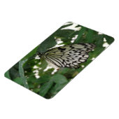 Tropenpapier Kite Butterfly Flexi Magnet (Linke Seite)