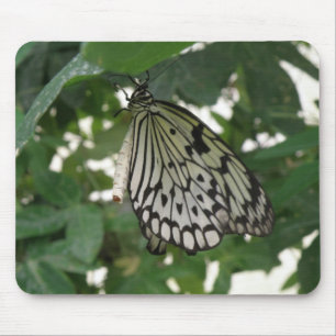 Tropenpapier Kite Butterfly Mousepad