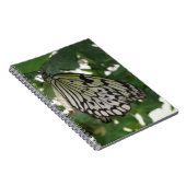 Tropenpapier Kite Butterfly-Notebook Notizblock (Rechte Seite)