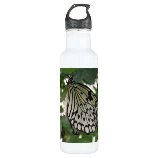 Tropenpapierklatschmetterling Trinkflasche (Vorderseite)