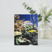 Tropenriff 3 postkarte (Stehend Vorderseite)