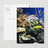 Tropenriff 3 postkarte (Vorne/Hinten)