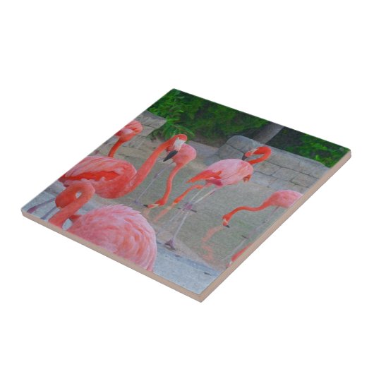 Tropenrosa Flamingos Wasserfarbe Fliese (Seite)