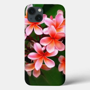 Tropenrosa Grüne Plumeria Blume Foto iPhone 13 Hülle