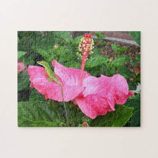 Tropenrosa Hibiskus Blume Anole Lizard Foto Puzzle (Horizontal)