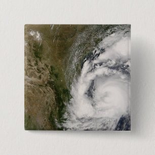 Tropensturm Dolly Button