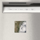 Tropensturm Dolly Magnet (In Situ (Geschirrspüler))