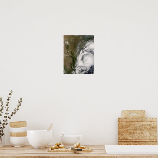 Tropensturm Dolly Poster (Küche)