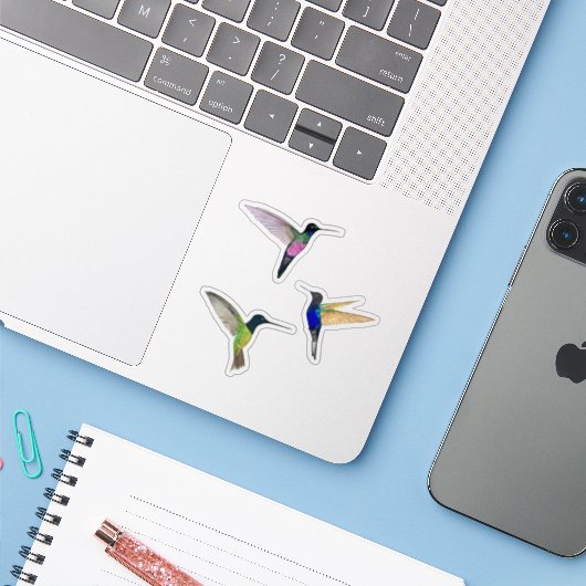 Tropenvögel Aufkleber (Laptop mit iPhone)